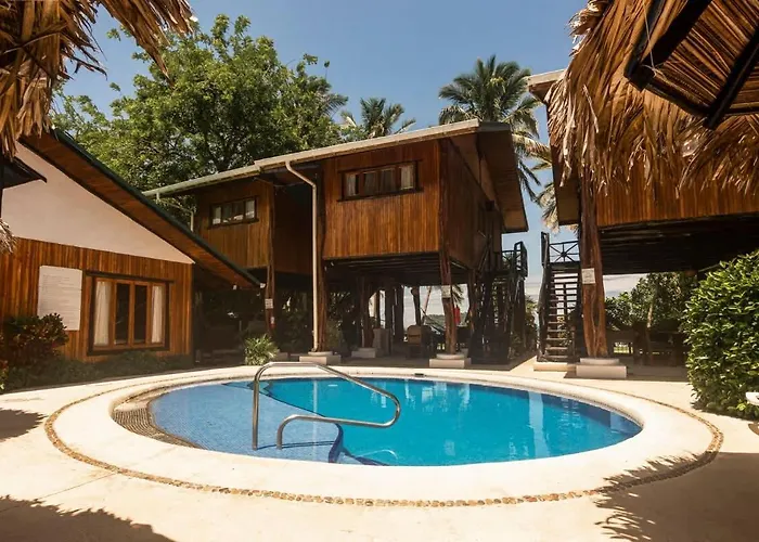 Treehouse On The *
